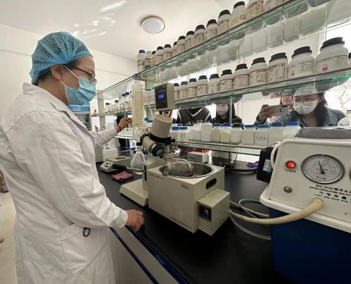 寧夏化妝品風靡俄羅斯市場，新型汽輪機研發與銷售齊頭并進